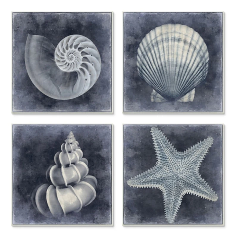 Nautical Seashells 4-pc. Canvas Art Print Set