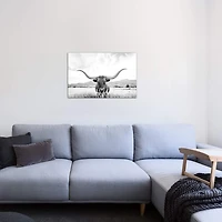 Longhorn Giclee Canvas Art Print