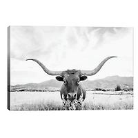 Longhorn Giclee Canvas Art Print
