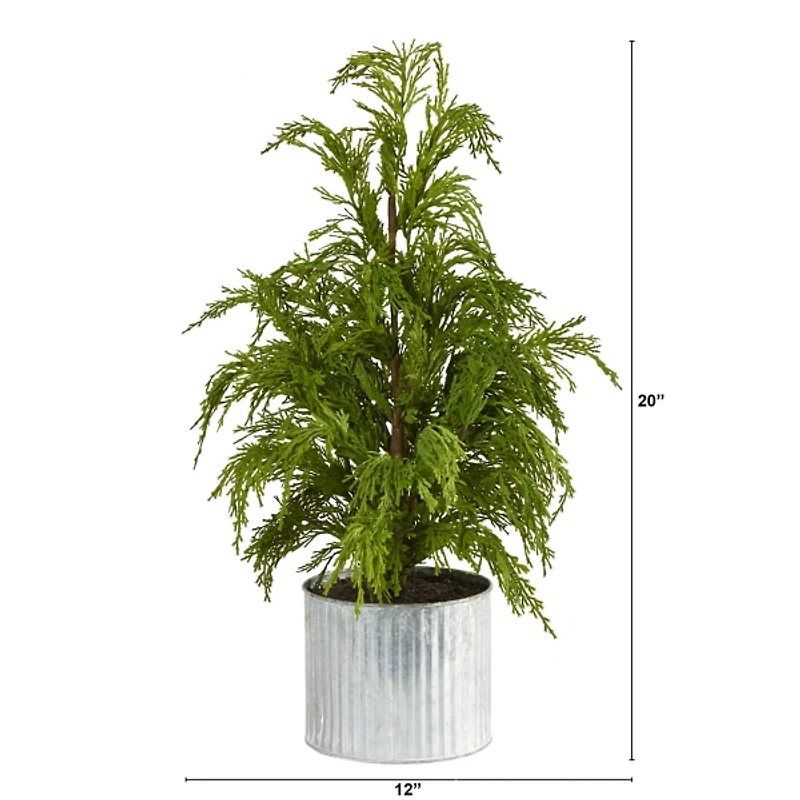 Cedar Pine Mini Tree in Corrugated Metal Planter