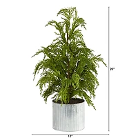 Cedar Pine Mini Tree in Corrugated Metal Planter