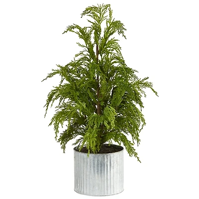 Cedar Pine Mini Tree in Corrugated Metal Planter