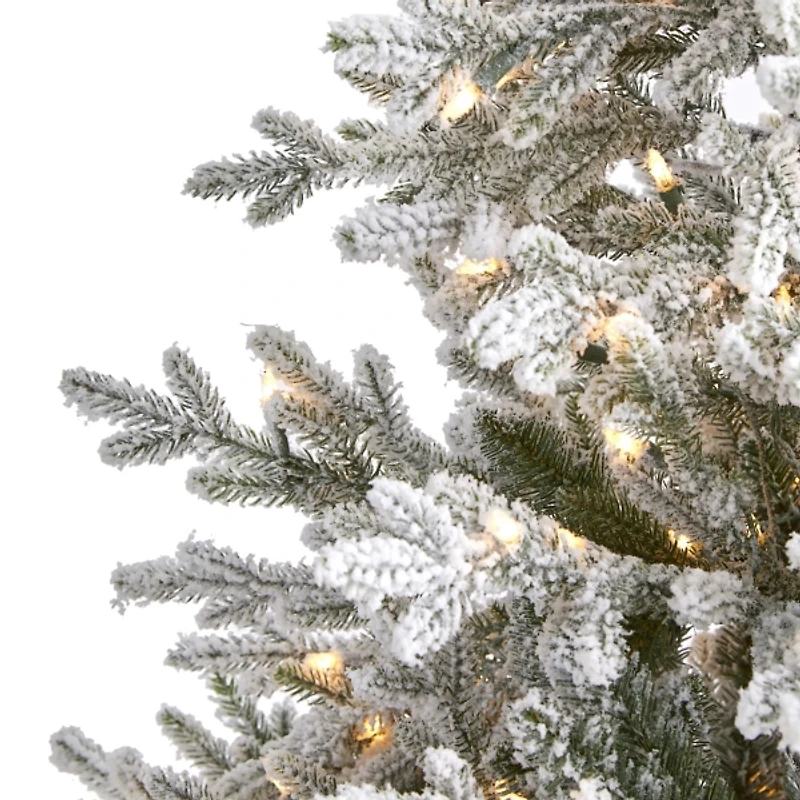 6 ft. Clear Lit Flocked Fraser Fir Christmas Tree