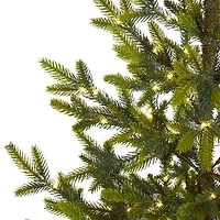 Pre-Lit Fraser Fir Tree in Burlap Sack