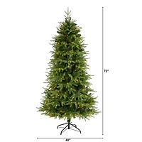 6 ft. Pre-Lit Vancouver Fir Christmas Tree