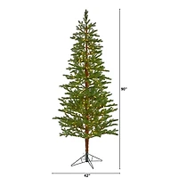 7.5 ft. Clear Lit Fairbanks Fir Christmas Tree