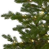 7.5 ft. Clear Lit Fairbanks Fir Christmas Tree