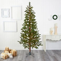 7.5 ft. Clear Lit Fairbanks Fir Christmas Tree