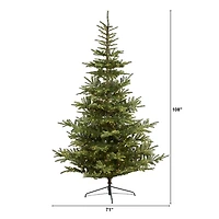 9 ft. Clear Lit Washington Spruce Christmas Tree