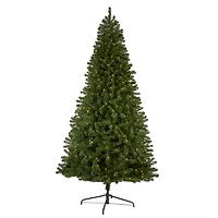 9 ft. Clear Pre-Lit Virginia Fir Christmas Tree