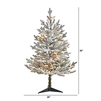 3 ft. White Lit Flocked Fraser Fir Christmas Tree