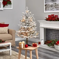 3 ft. White Lit Flocked Fraser Fir Christmas Tree