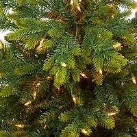Pre-Lit North Carolina Fir Tree in Red Planter