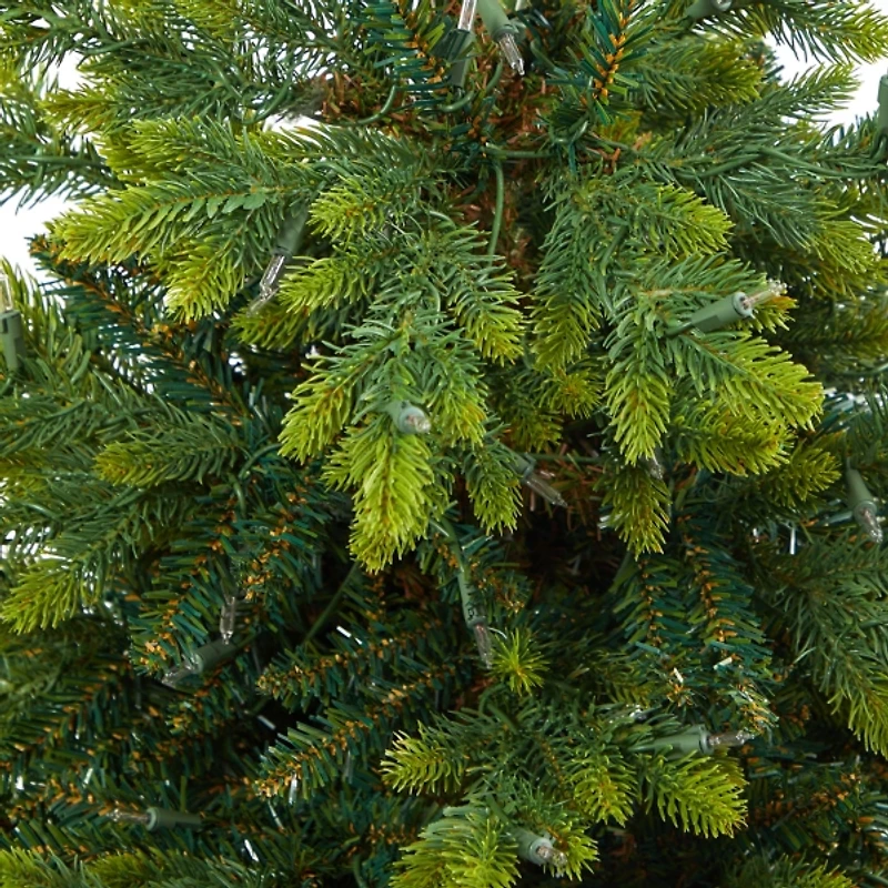 Pre-Lit North Carolina Fir Tree in Red Planter