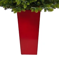 Pre-Lit North Carolina Fir Tree in Red Planter