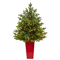 Pre-Lit North Carolina Fir Tree in Red Planter