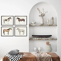 Horses Framed Art Prints, Set of 4