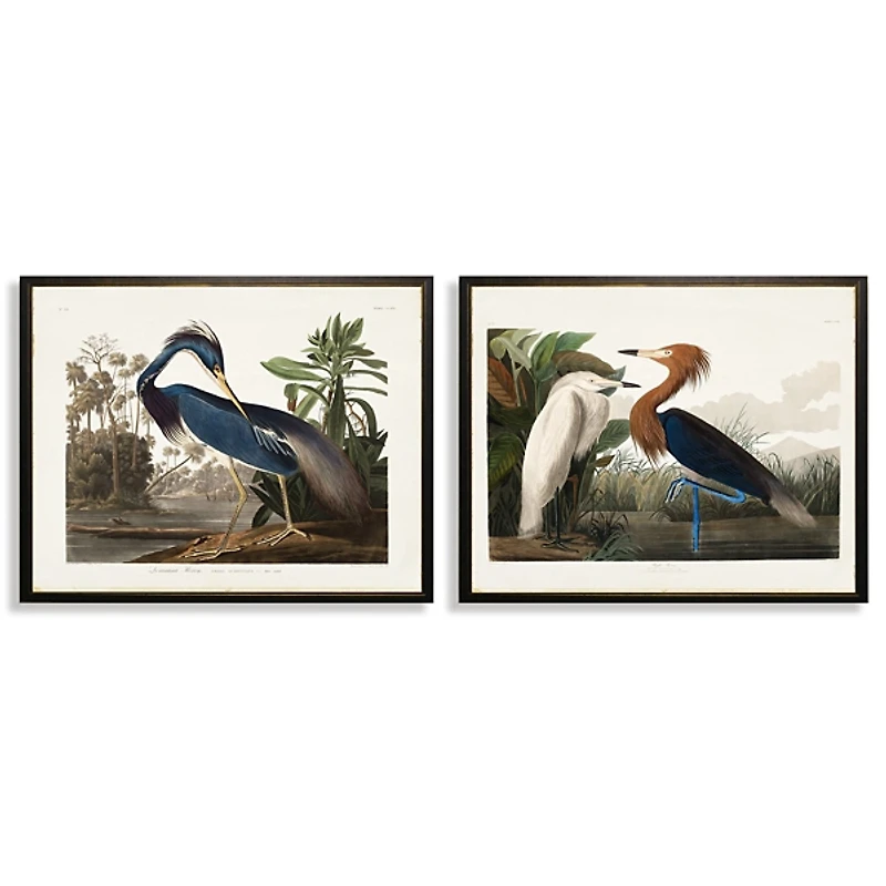 Water Birds Framed Art Prints, Set of 2