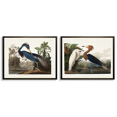 Water Birds Framed Art Prints, Set of 2