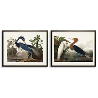 Water Birds Framed Art Prints, Set of 2
