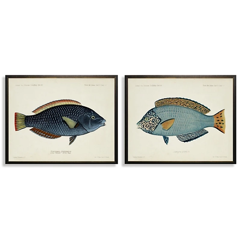 Blue Fish Framed Art Prints, Set of 2
