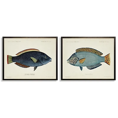 Blue Fish Framed Art Prints, Set of 2