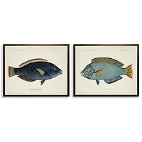 Blue Fish Framed Art Prints, Set of 2