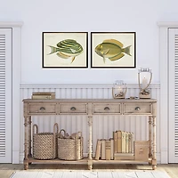 Acanthurus Fish Framed Art Prints, Set of 2
