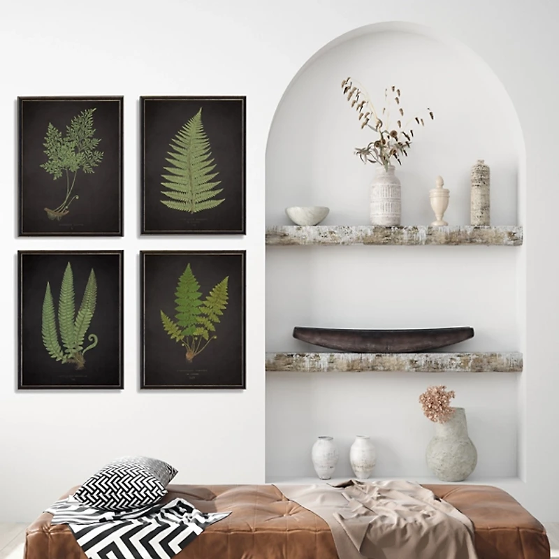 Fern Framed Art Prints, Set of 4