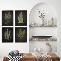 Fern Framed Art Prints, Set of 4