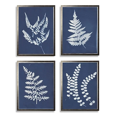 Cyanotype Ferns Framed Art Prints, Set of 4