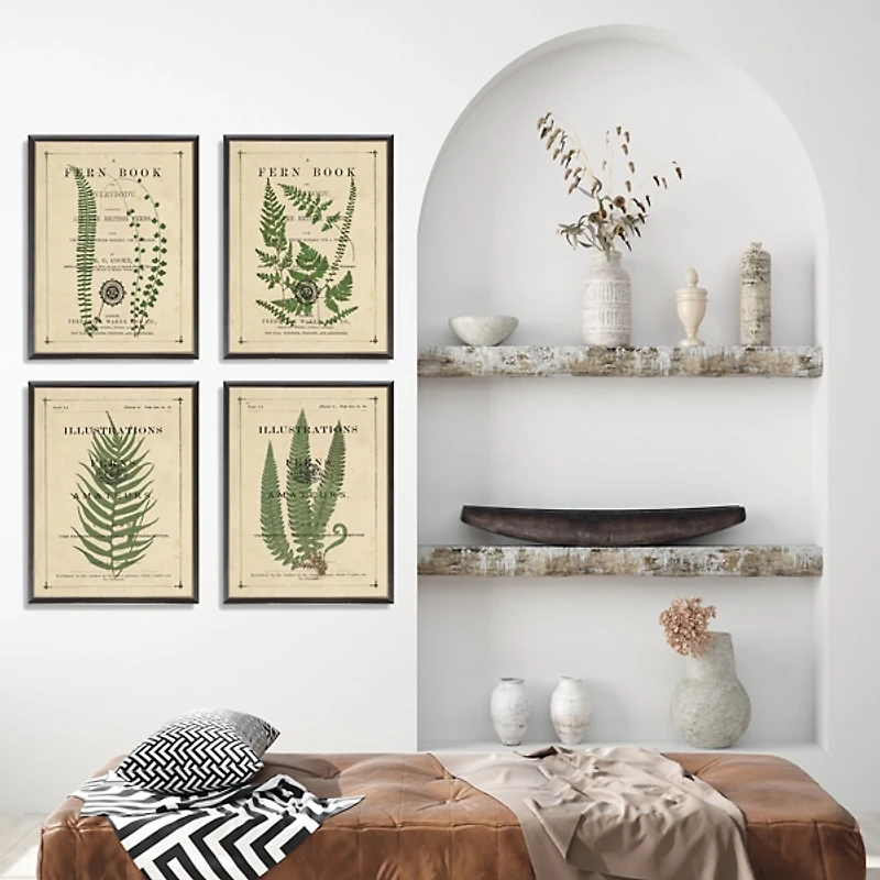 Fern Illustrations Framed Art Prints, Set of 4