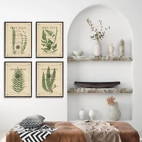 Fern Illustrations Framed Art Prints, Set of 4