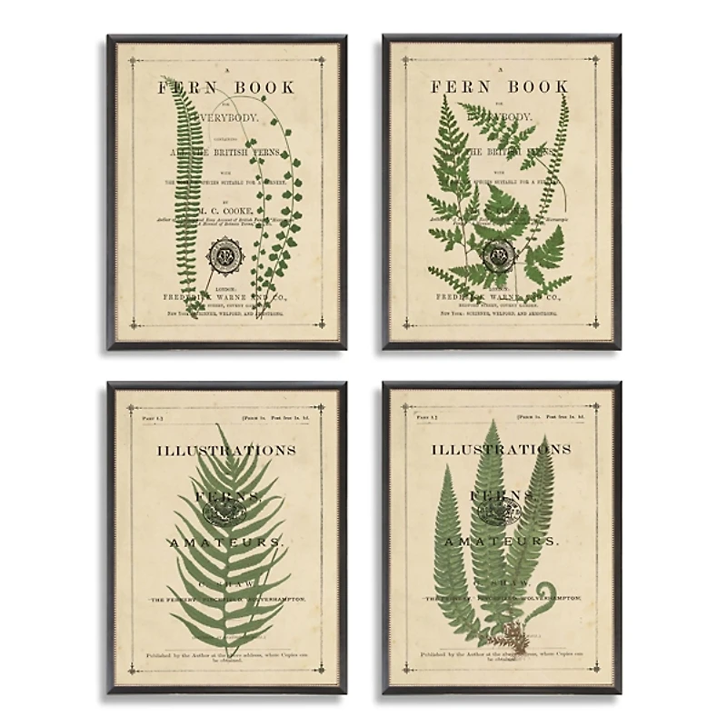 Fern Illustrations Framed Art Prints, Set of 4