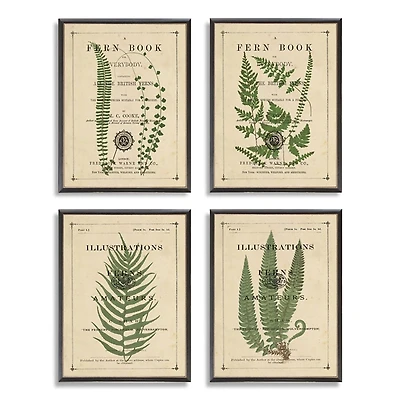 Fern Illustrations Framed Art Prints, Set of 4