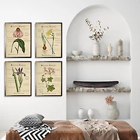 Flower Magazine Framed Art Prints, Set of 4