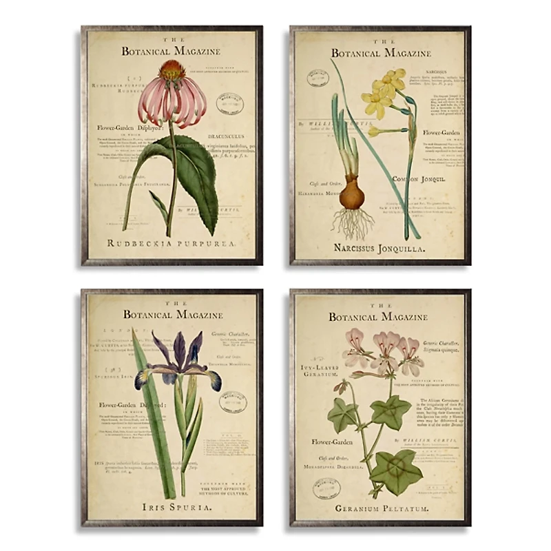 Flower Magazine Framed Art Prints, Set of 4