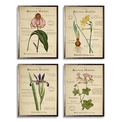 Flower Magazine Framed Art Prints, Set of 4