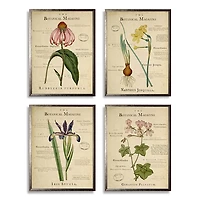 Flower Magazine Framed Art Prints, Set of 4