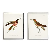 Hummingbirds I Framed Art Prints, Set of 2
