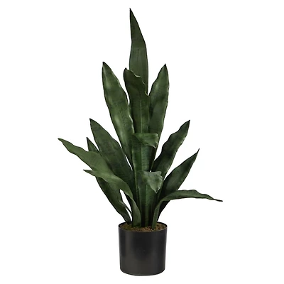 Dark Green Sansevieria in Nursery Planter, 24 in.