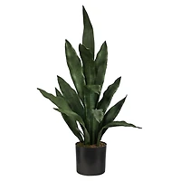 Dark Green Sansevieria in Nursery Planter, 24 in.