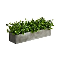 Eucalyptus Arrangement in Gray Planter Box