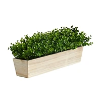 Eucalyptus Arrangement in Wide Wooden Planter