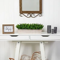 Eucalyptus Arrangement in Wide Wooden Planter