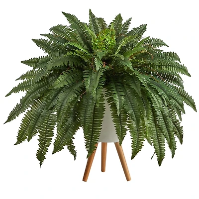 Boston Fern Arrangement in White Planter