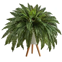 Boston Fern Arrangement in White Planter