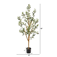 Slender Olive Branch Tree in Nursery Planter