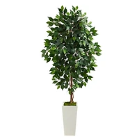 Ficus Tree in Mossy White Tower Planter
