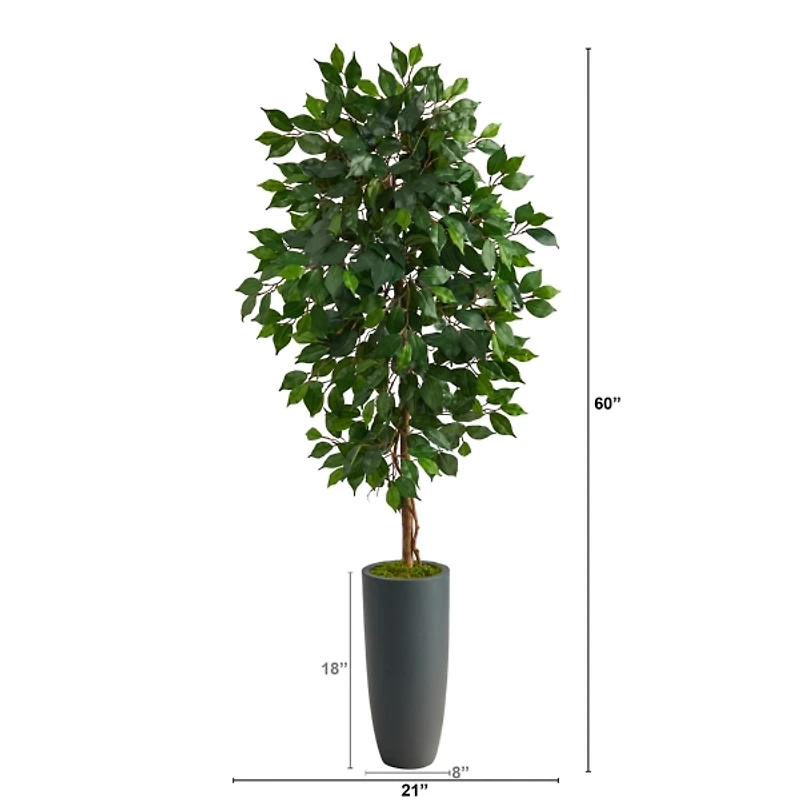Ficus Tree in Gray Oblong Planter, 60 in.